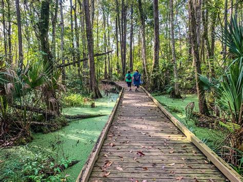 Must Do Hikes in Lake County – Visit Lake – Lake County, FL Tourism Blog