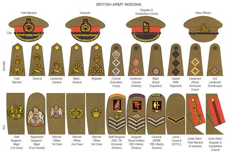 Her Majesty's Services: A Brief Guide to British Armed Forces Ranks