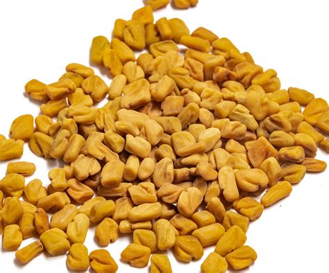 Fenugreek Seeds - Fenugreek | Savory Spice