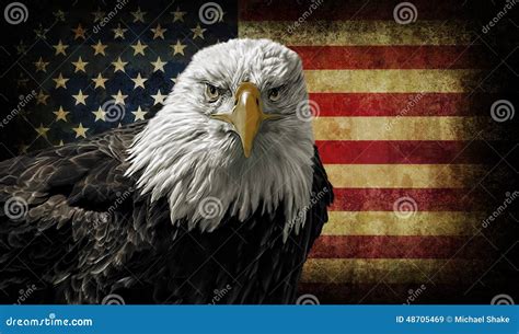 American Bald Eagle On Grunge Flag Stock Image - Image: 48705469