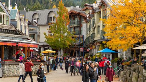 Whistler Visitor Centre Vacation Rentals, CAN: house rentals & more | Vrbo