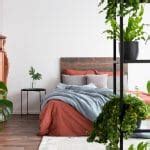 Lots of plants in natural minimalist bedroom with coral and light blue sheets - MHM Professional ...