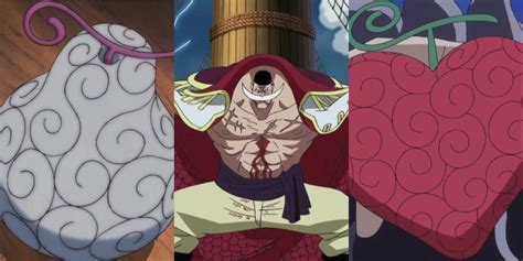 The Strongest Paramecia Devil Fruits In One Piece