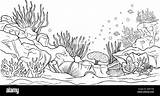 Underwater World coloring Page Coloring Life In The Ocean With  sketch template