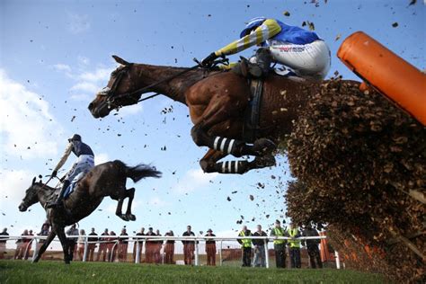 🏇 Kelso Racecourse. Latest race meeting: preview.