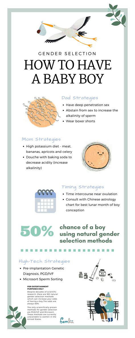 How to Have a Baby Boy: A Gender Selection Infographic - Famlii | Gender selection, How to ...