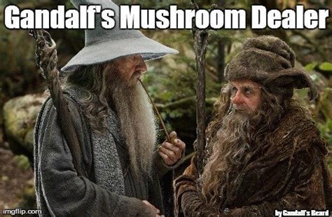 Gandalf Memes | LOTR Amino