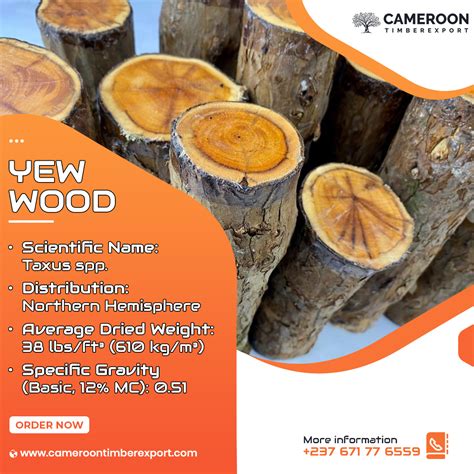 Yew Wood for Sale – Your Gateway to Premium Quality