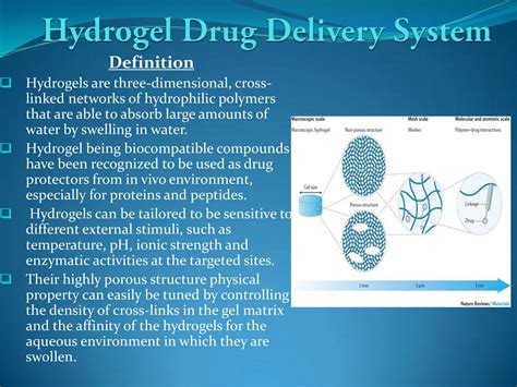 Hydrogel Drug Delivery System by Bryan Ong - Flipsnack