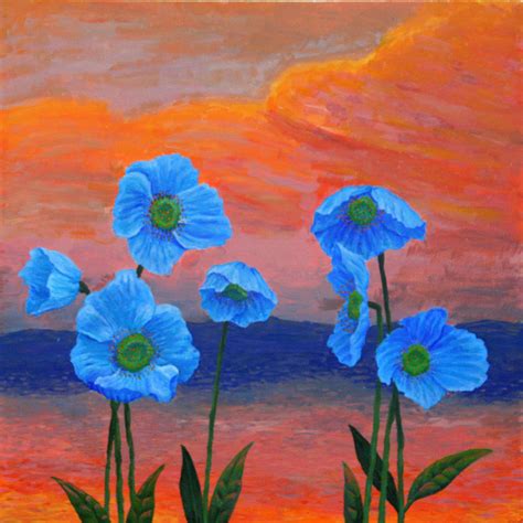 Blue Poppies at Sunset by Satsumo on DeviantArt