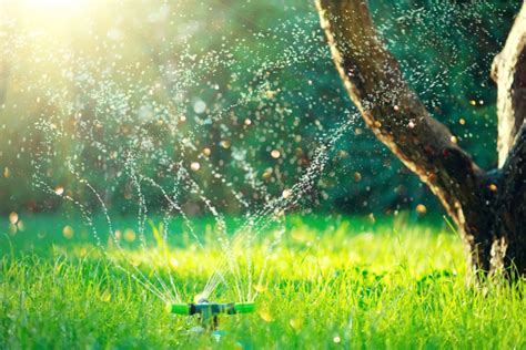 Lawn Sprinkler Types (How To Choose The Best Sprinkler)