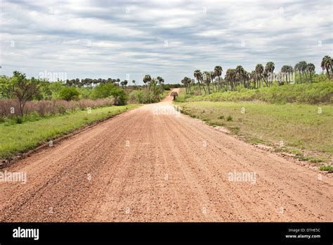 El Palmar national park, Entre Rios province, Argentine Stock Photo - Alamy