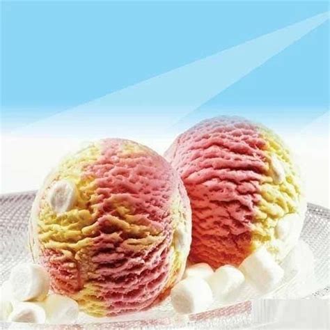 Giani Special Ice Cream - Giani Ice Cream Manufacturer from Gurgaon