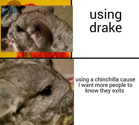 Here I made a meme with my chinchilla charley : chinchilla