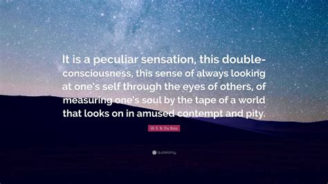 W. E. B. Du Bois Quote: “It is a peculiar sensation, this double-consciousness, this sense of ...