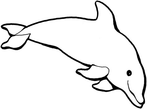 Dolphin coloring page