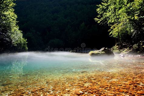 Lake eye stock image. Image of stones, trees, drinking - 26568883