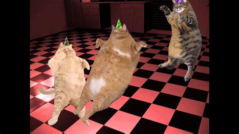 Fat Cat Dance Party - YouTube