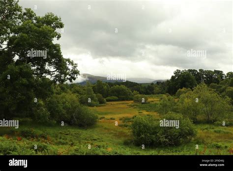 In and around Loch Insh Stock Photo - Alamy