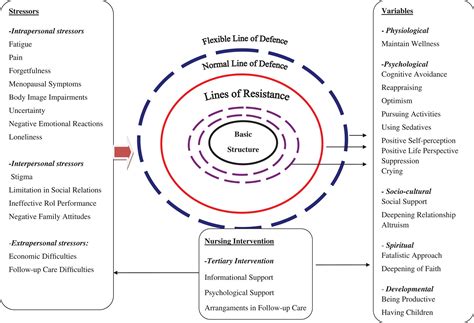 Betty Neuman Systems Model Diagram