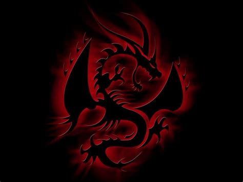 Dark Dragon Logo - LogoDix