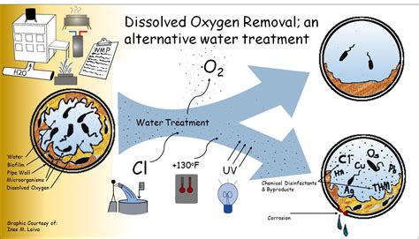 Water | Free Full-Text | Legionella and the Role of Dissolved Oxygen in ...