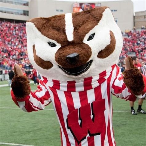 Bucky badger | Wisconsin badgers football, Wisconsin badgers, Badger ...