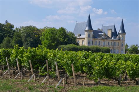 The Top Private & Group Wine Tasting Tours in the Médoc : Winerist Magazine
