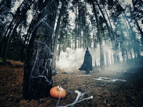 Spooky Forest Zoom Background | Halloween backgrounds, Background, Spooky