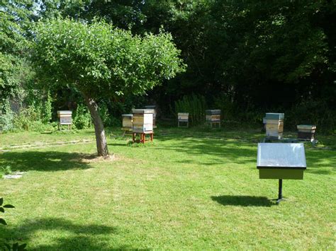 Apiary Location – Epsom Beekeepers Association