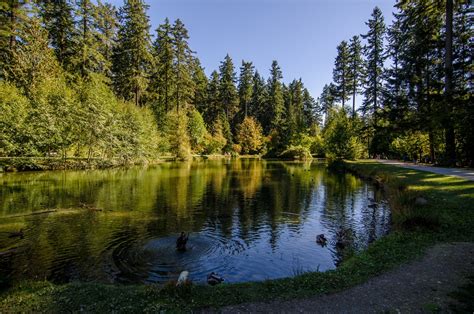 11 Great Things to See and Do in Burnaby, British Columbia