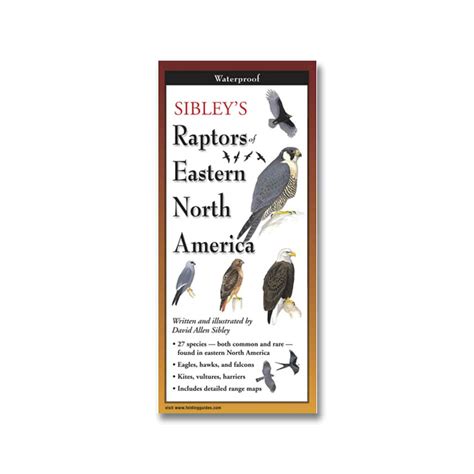 Folding Field Guide Sibley's Raptors Eastern North America