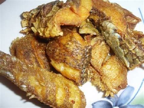 Peluang Usaha Ikan Gabus Goreng dan Analisa Usahanya - Agrowindo - Agrowindo