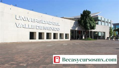 Informes UVM - 【 Universidad del Valle de México 】- 2024