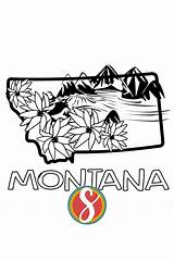 Montana Coloring Pages — Stevie Doodles sketch template
