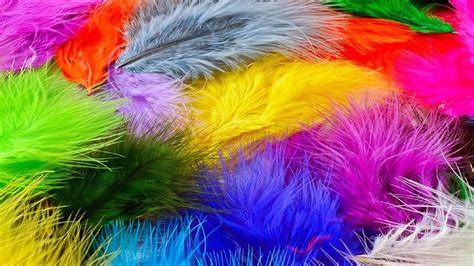 Marabou Feather Guide - YouTube