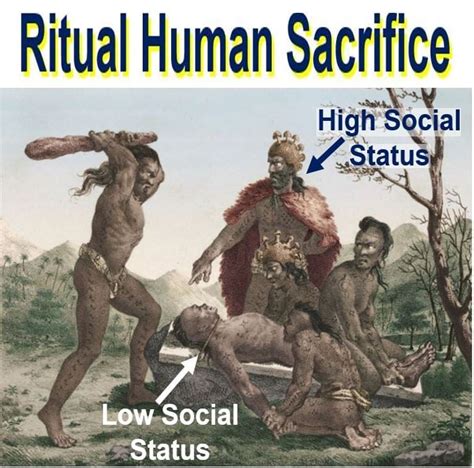 Ritual human sacrifice fuelled social inequality showing religion had a ...