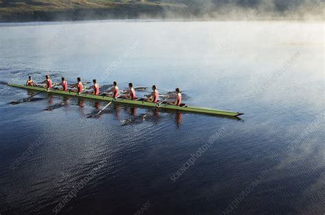 Rowing crew rowing scull on lake - Stock Image - F013/9895 - Science Photo Library