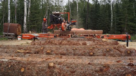 Province, Norway House Cree Nation sign historic timber deal – Winnipeg ...