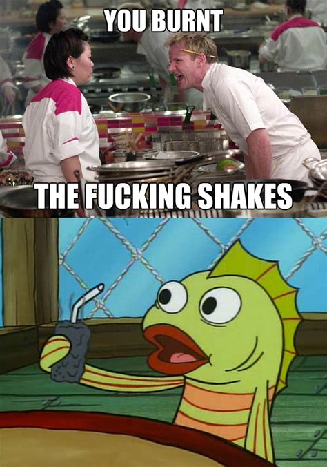 [Image - 530625] | Gordon Ramsay | Know Your Meme