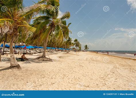 View of Playa Paraiso Beach Near Tulum. Editorial Photo - Image of palm, tropical: 124297131