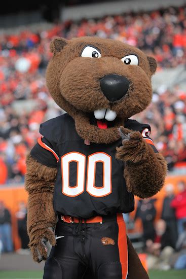 Oregon State's New Mascot Cut From Timber Joey's Cloth? - Blogtown - Portland Mercury