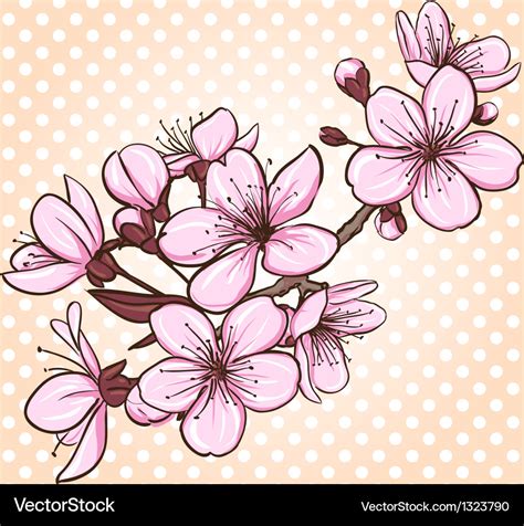 Cherry blossom Royalty Free Vector Image - VectorStock