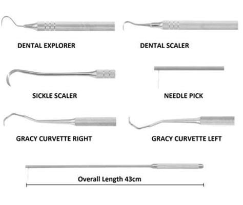 Dental Scaler