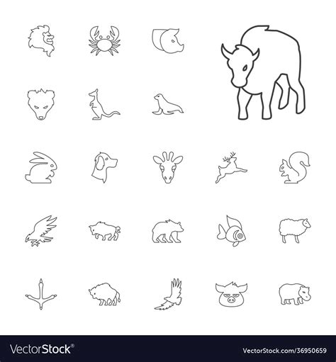 Wildlife icons Royalty Free Vector Image - VectorStock