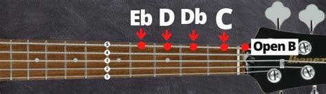 4 String Vs. 5 String Bass – Differences Explained – Tone Topics