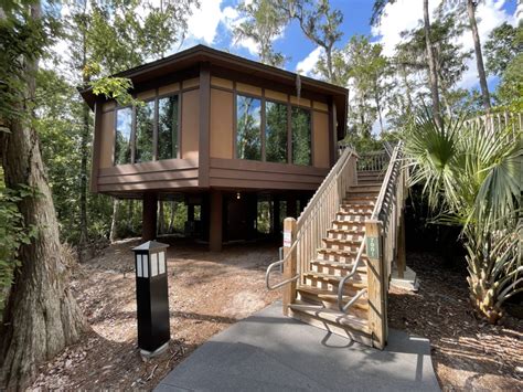 PHOTOS, VIDEO: Tour a Treehouse Villa at Disney's Saratoga Springs ...