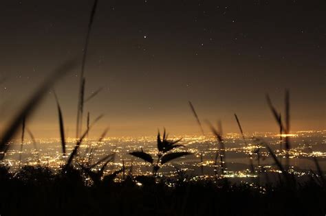 Premium Photo | Starry night in campo dei fiori - italy