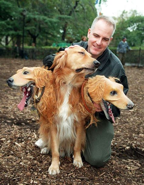 Cerberus Dogs: Funny Three-Headed Dog Halloween Costume