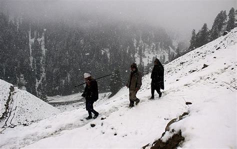 PHOTOS: Kashmir receives season's 1st snowfall - Rediff.com India News